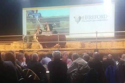 La raza marcó buenos promedios en la subasta