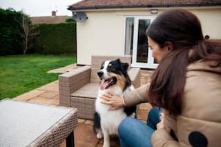 Por qué la euforia de tu perro al recibirte no es necesariamente un síntoma de felicidad