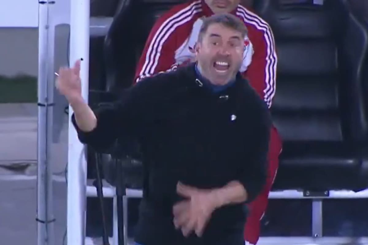 La reacción de Coudet contra Borré en el partido de River ante Independiente Santa Fe