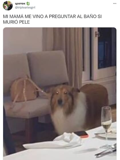 La reacción de los usuarios a la falsa noticia de la muerte de Pelé (Foto: Twitter)