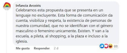 La reacción de los vecinos al posteo en lenguaje inclusivo de la Municipalidad de Viedma (Foto: Facebook)