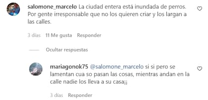 La reacción de los vecinos de San Nicolás a la caída del perro en el Teatro Municipal (Foto: Captura de Instagram)