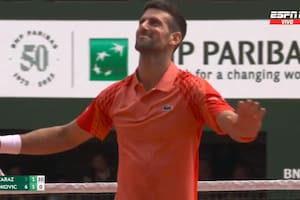 La reacción de Novak Djokovic, rendido tras el increíble punto que le convirtió Carlos Alcaraz en la semifinal de Roland Garros