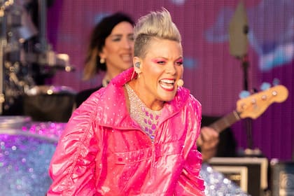 La reacción de Pink cuando una fan tiró al escenario las cenizas de su madre en medio de un concierto