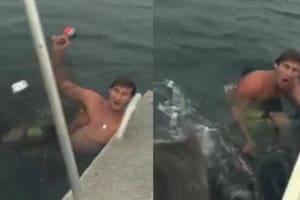 La reacción del joven que casi sufre el ataque de un tiburón