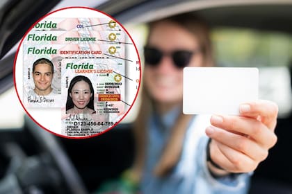 La Real ID suele llevar la marca de una estrella sobre la parte superior derecha de la identificación
