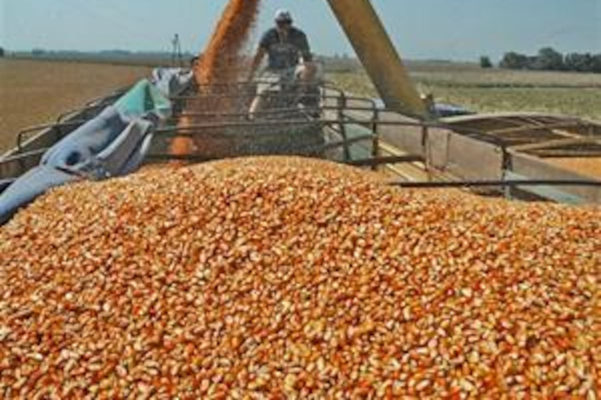 La rebaja de retenciones ayudó al sector