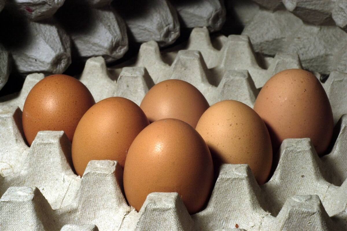 La rebaja del IVA se aplicó parcialmente en el sector