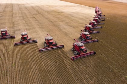 La receta de Brasil para multiplicar su producción agropecuaria está basada en créditos, tierras, tecnología y reglas de largo plazo