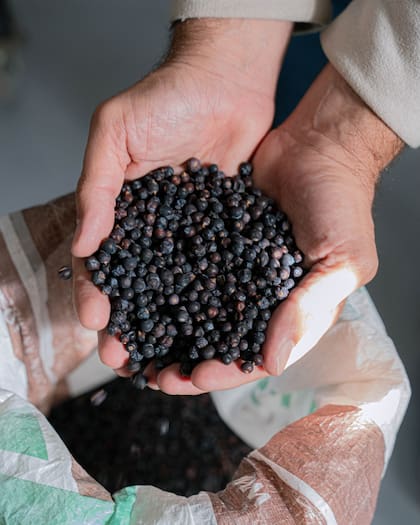 La receta demandó casi dos años de desarrollo antes de salir al mercado (Foto: Instagram @surginok)