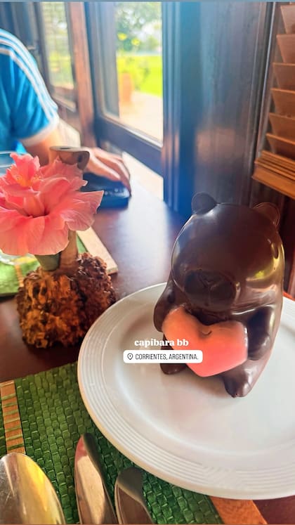 La recibida que les dio el hotel de Corrientes con un "capibara bb"