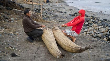 La recolección y el atado de la totora para fabricar embarcaciones aptas para navegar es un arte que se transmite de generación en generación