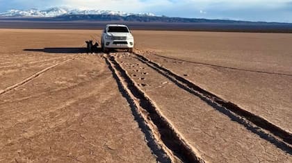 La recuperación natural de la zona podría demandar hasta un siglo