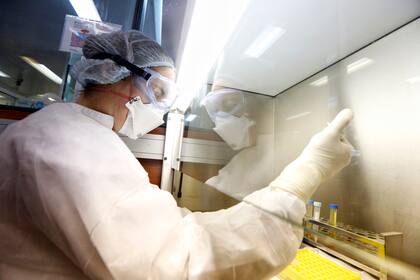 Laboratorios de Alemania, Gran Bretaña, Estados Unidos y China compiten por desarrollar la vacuna que pueda derrotar al Covid-19