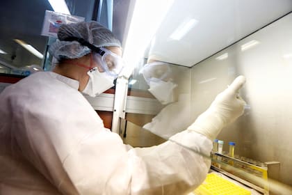 Laboratorios de Alemania, Gran Bretaña, Estados Unidos y China compiten por desarrollar la vacuna que pueda derrotar al Covid-19