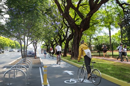 La red porteña superó los 100 kilómetros de extensión en 2013 y llegó a los 200 kilómetros en 2018. Ahora tiene más de 310 kilómetros.