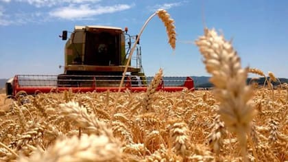 La reforma del Banco Central que promete terminar con una de las mayores distorsiones para el agro