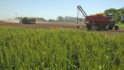 La reforma introduce cambios importantes para el agro