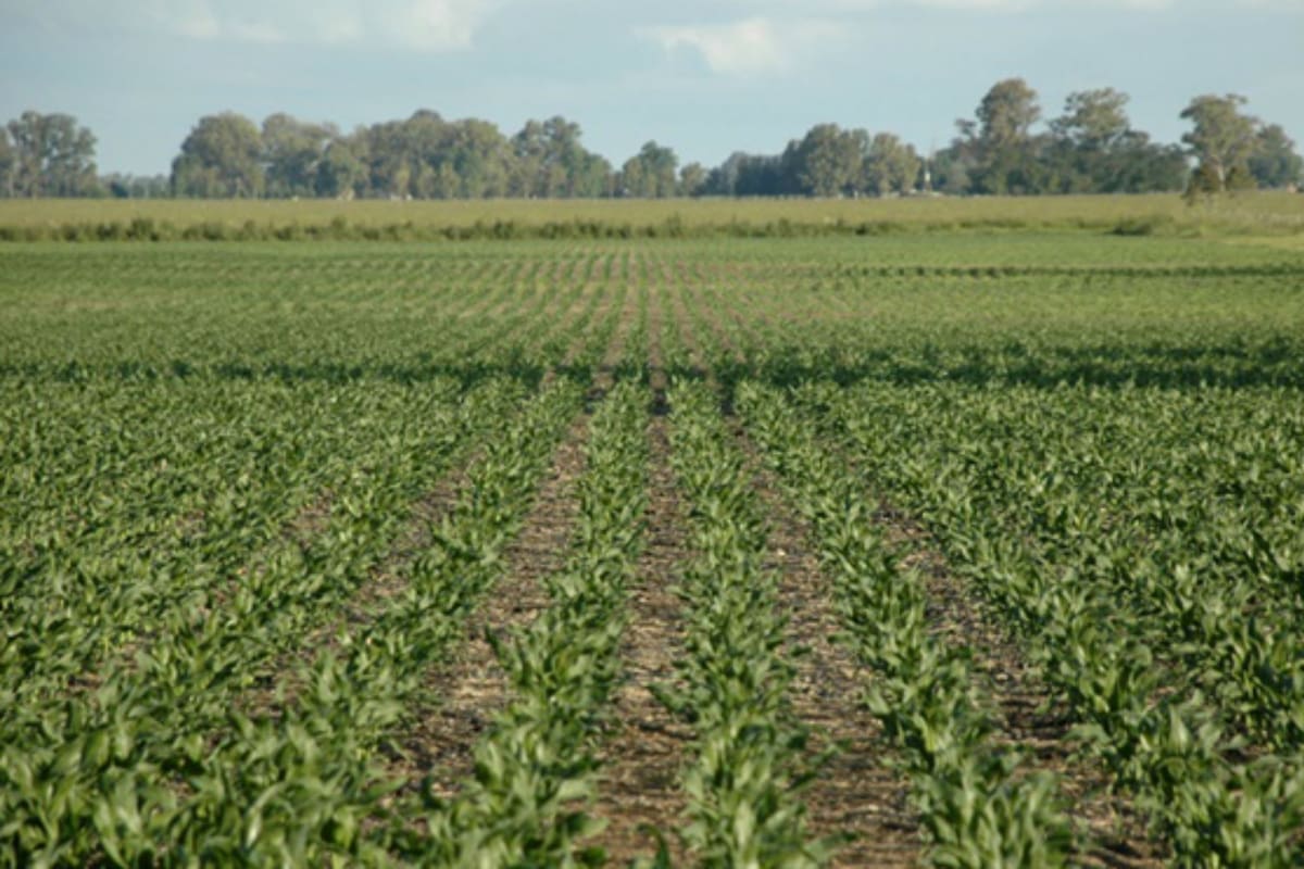 La reforma tributaria resuelve de manera parcial la problemática para la venta de tierras