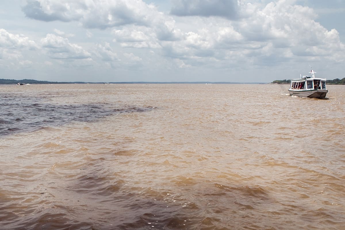 Recorrido a bordo del Jacaré Açú por el Amazonas brasileño.