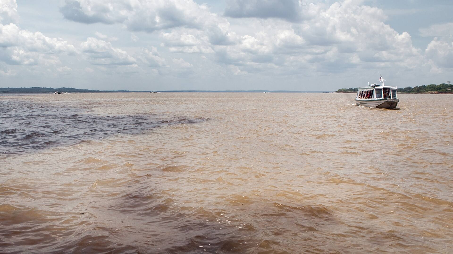 Recorrido a bordo del Jacaré Açú por el Amazonas brasileño.