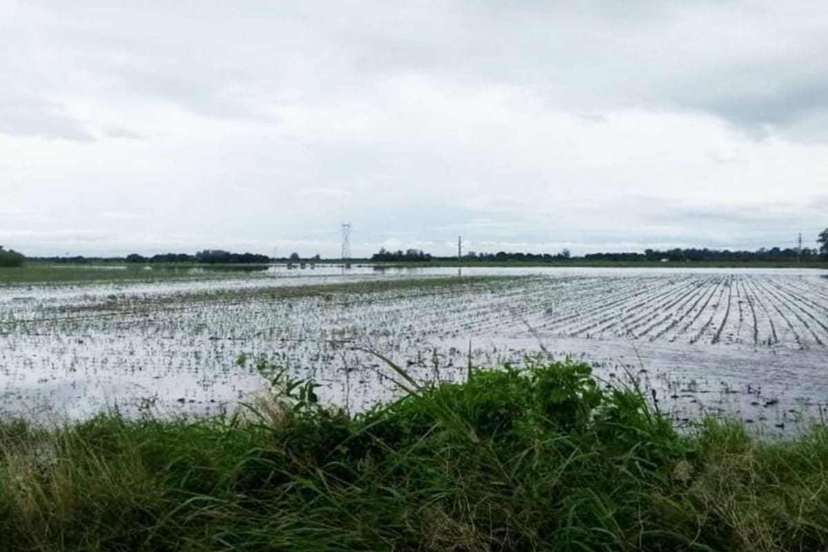 La región del norte de Santa Fe sigue con fuertes excesos de agua