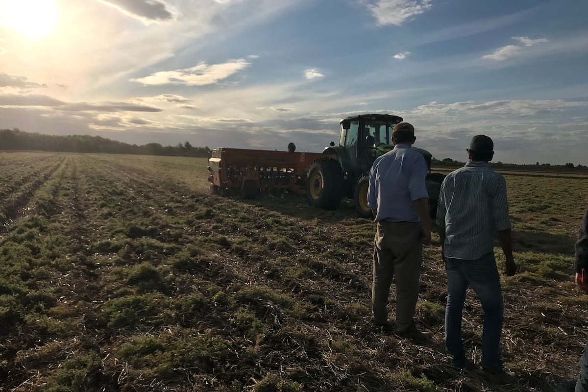 La región presenta precipitaciones anuales que rara vez superan los 200 mm y suelos de escaso desarrollo, heterogéneos y salinos