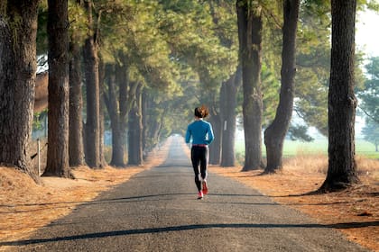 La regla de los 11 minutos también ayuda a reducir el estrés y mejorar el estado de ánimo (Pexels/Quang Nguyen Vinh)
