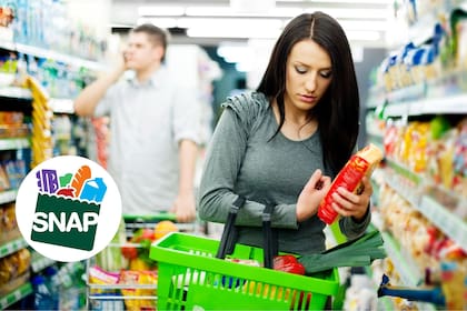 La Regla de Trato Igualitario previene que los beneficiarios del SNAP sean discriminados o que reciban trato preferencial (Freepik/gpointstudio)