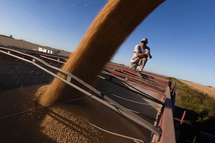 La regulación mantiene expresamente un circuito especial para los ALyC Integral Agroindustrial