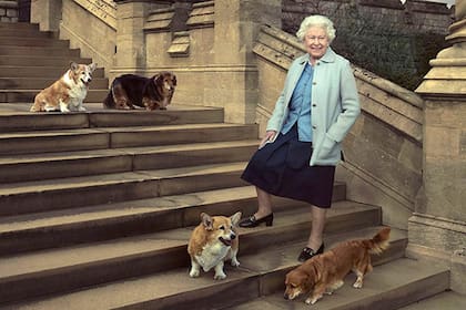 La reina Isabel II de Gran Bretaña, amante de los perros de raza corgi; solía llevarlos con ella en sus viajes