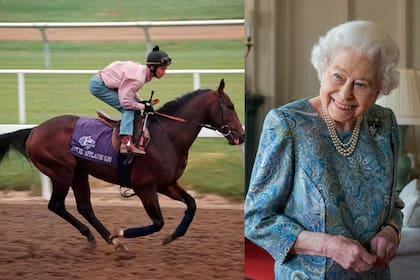 La reina Isabel II fue una admiradora de los caballos y las disciplinas ecuestres durante su vida