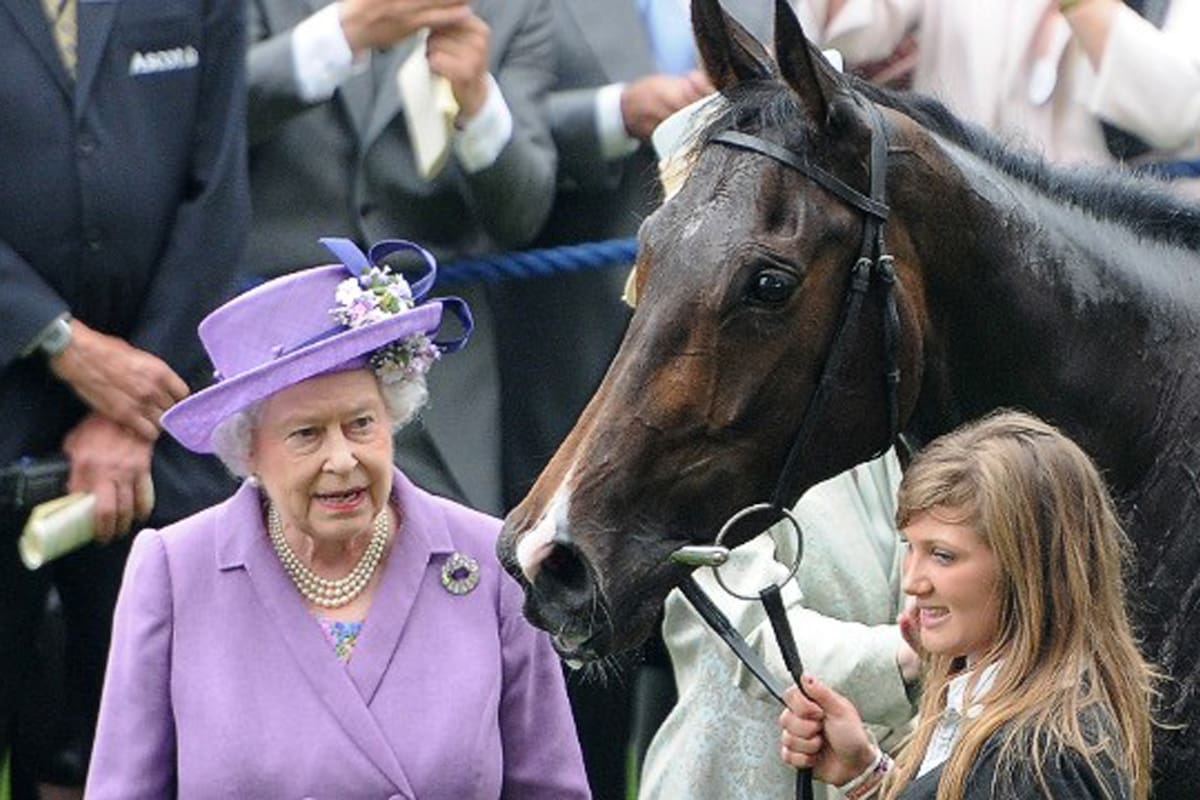 La Reina Isabel II invierte unos 1.200.000 euros por año en la pasión que heredó de uno de sus abuelos y de su padre