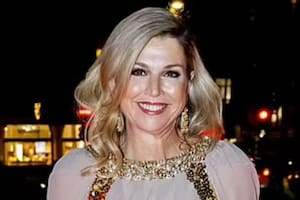 La reina Máxima deslumbró con un vestido de gala durante un evento en Ámsterdam (Foto: Instagram @jantaminiau)