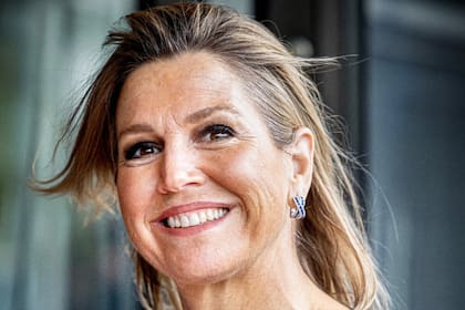 La reina Máxima deslumbró en Ámsterdam con una pieza de Oscar de la Renta (Foto: Instagram @patrickvkatwijk)