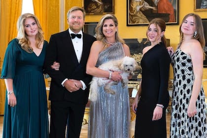 La reina Máxima luciendo un elegante vestido de Elie Saab para la postal familiar navideña de diciembre de 2023 (Foto: Instagram @koninklijkhuis)