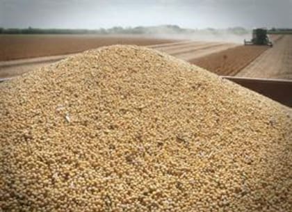 China intenta limitar su dependencia a los cereales importados