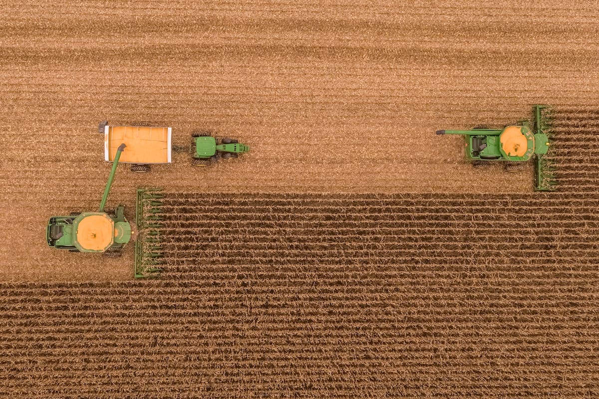 La relación de urea/maíz se deterioró más fuertemente en los últimos días, según AZ-Group