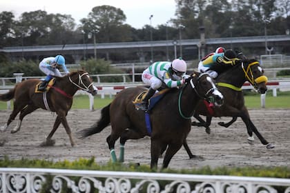 La Reliquia dejó atrás a Humorada Negra, en el Gran Premio Estrellas Sprint