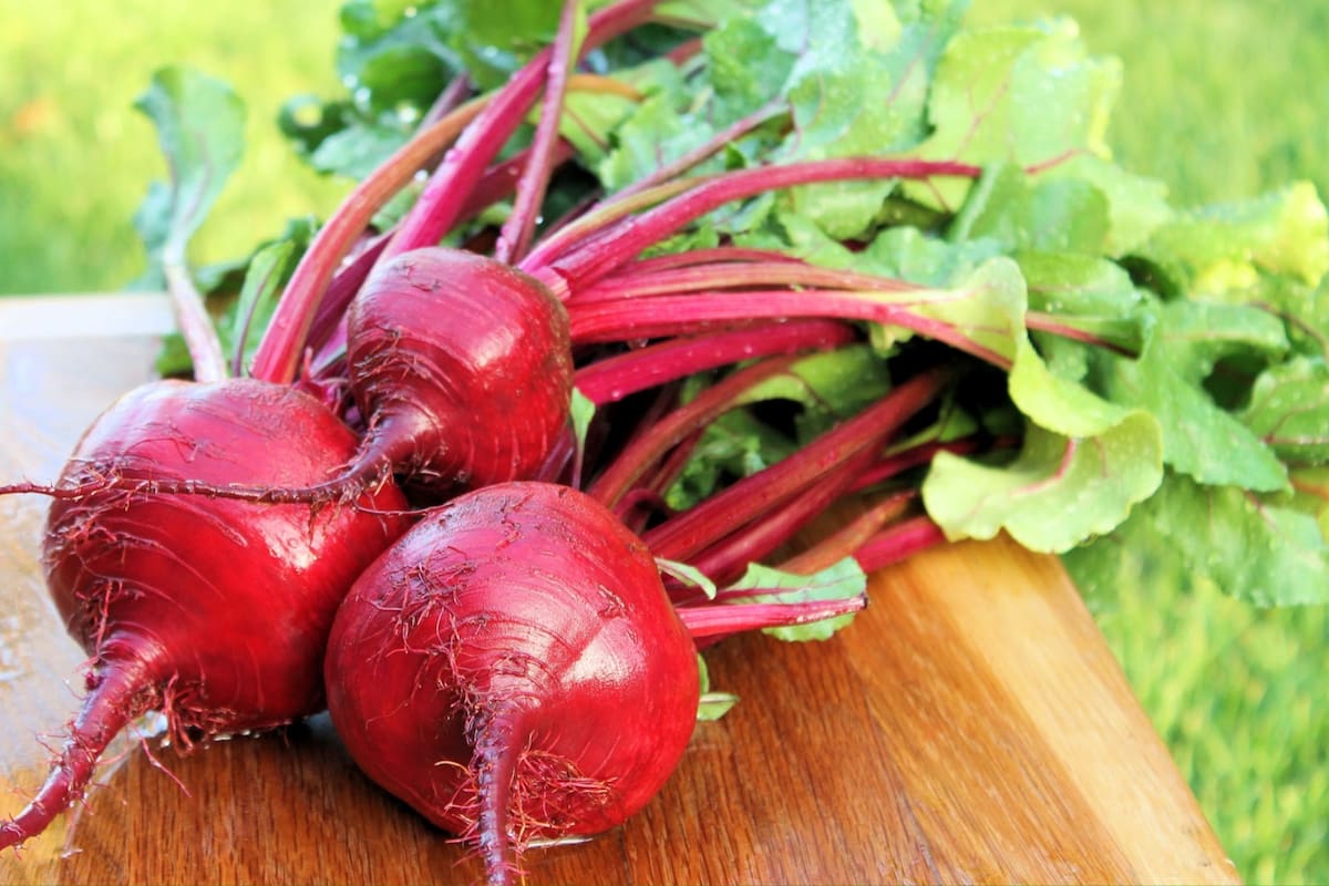 La remolacha es uno de los alimentos recomendados por su gran poder antioxidante