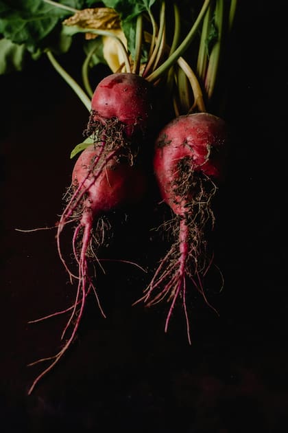 La remolacha está cargada de nutrientes esenciales que impactan positivamente en distintos sistemas del cuerpo