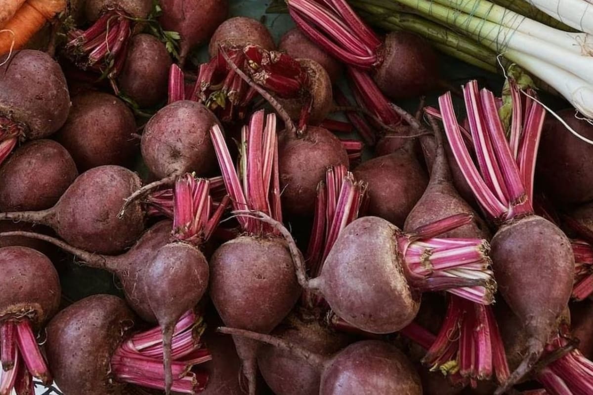 La remolacha o betabel es un tubérculo lleno de vitaminas y propiedades que contribuyen a una buena salud
