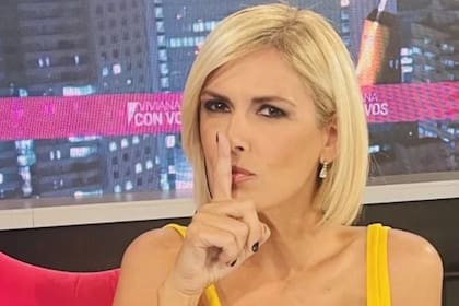 La renuncia de Viviana Canosa a A24: el contundente comunicado del Grupo América (Foto: Instagram @vivianacanosaarg)