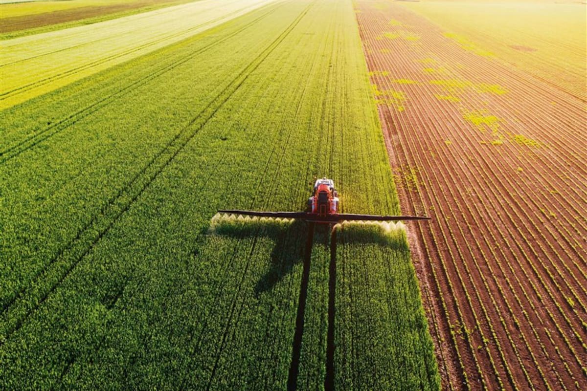 La reposición de nutrientes es fundamental para mantener la calidad de los suelos
