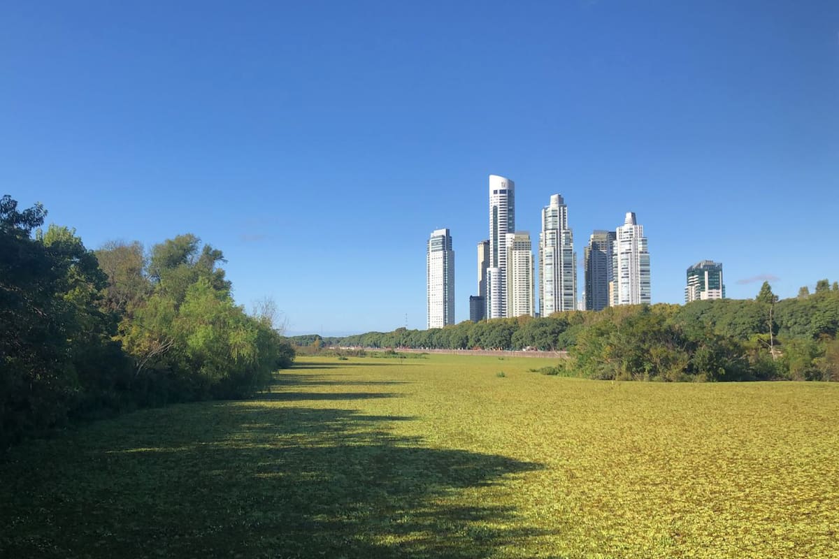 La Reserva Costanera Sur, un oasis verde cerca del cemento de la zona céntrica de la ciudad