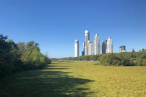 Los 40 años de la Reserva Costanera Sur