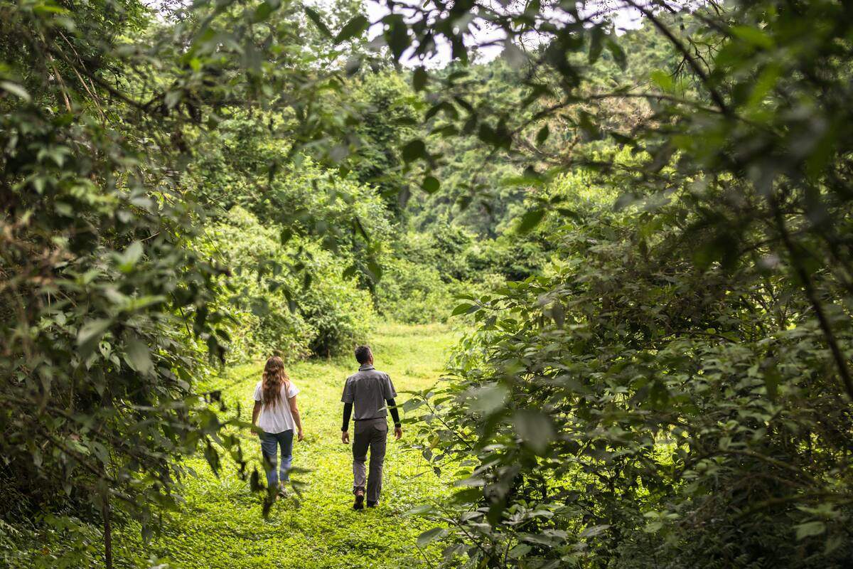 El arroyo Yabotí es uno de los lugares más encantadores de la reserva.
