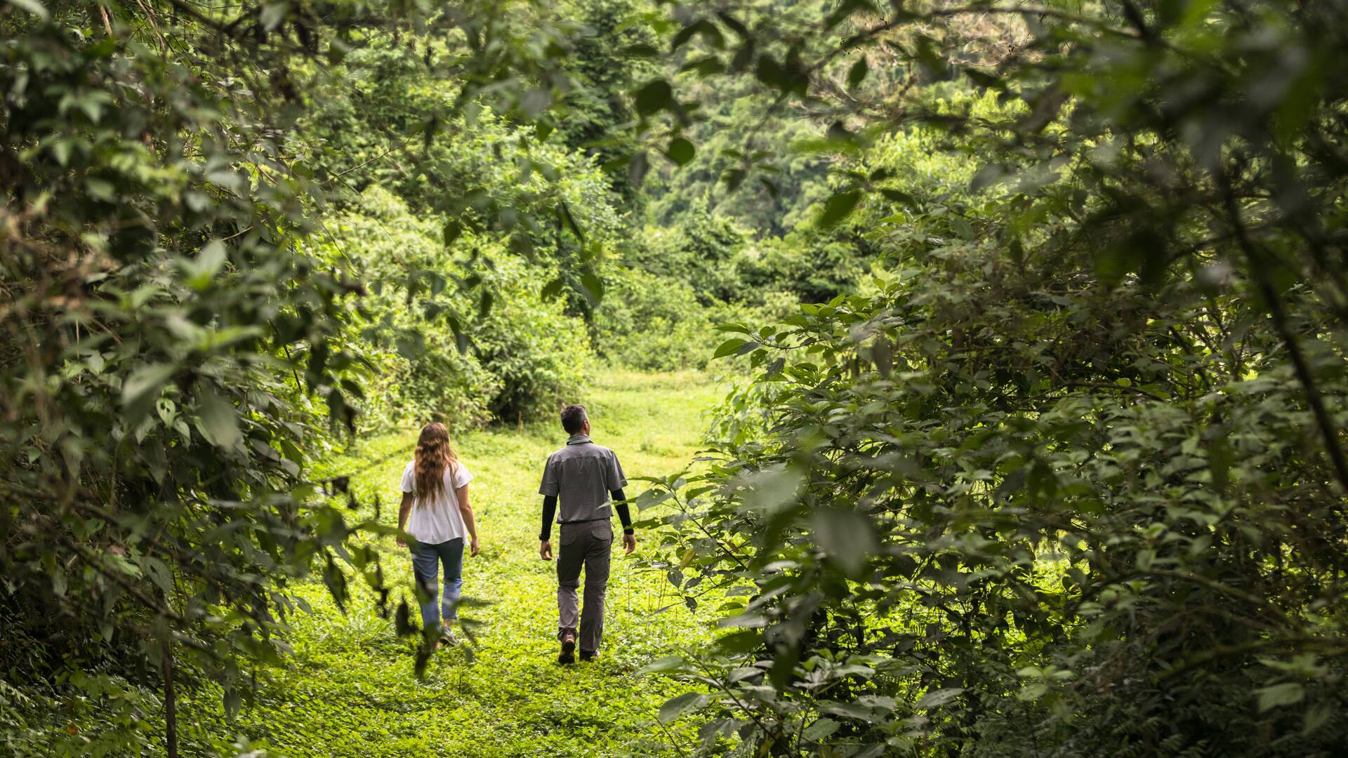 El arroyo Yabotí es uno de los lugares más encantadores de la reserva.