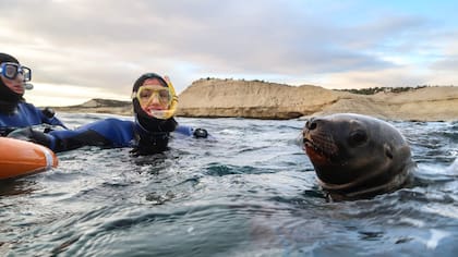 La reserva de Punta Loma está sobre el Golfo Nuevo, a 17 kilómetros de Puerto Madryn.