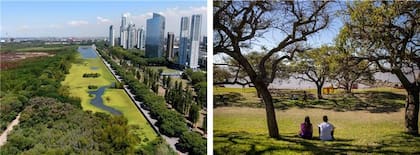 La Reserva Ecológica Costanera Sur alberga más de 200 especies de fauna y flora.